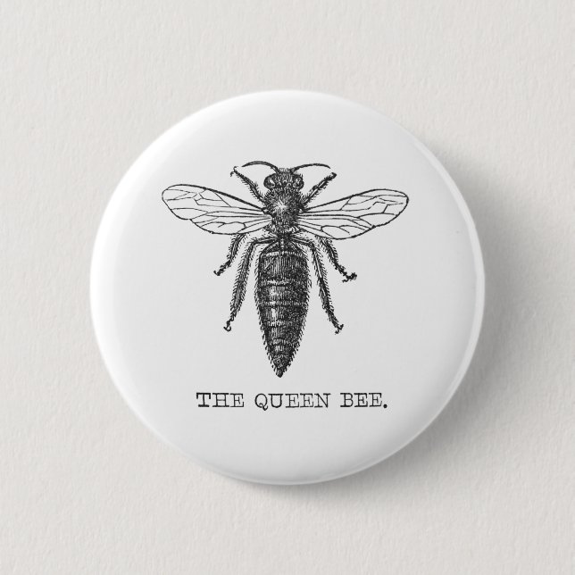 Queen Bee Bug Insect Antike Illustration Button (Vorderseite)
