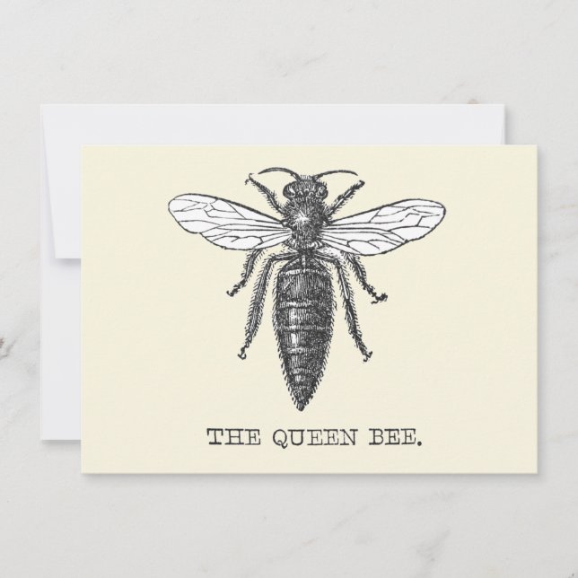 Queen Bee Bug Insect Antike Illustration Einladung (Vorderseite)