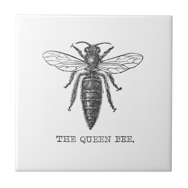 Queen Bee Bug Insect Antike Illustration Fliese (Vorderseite)