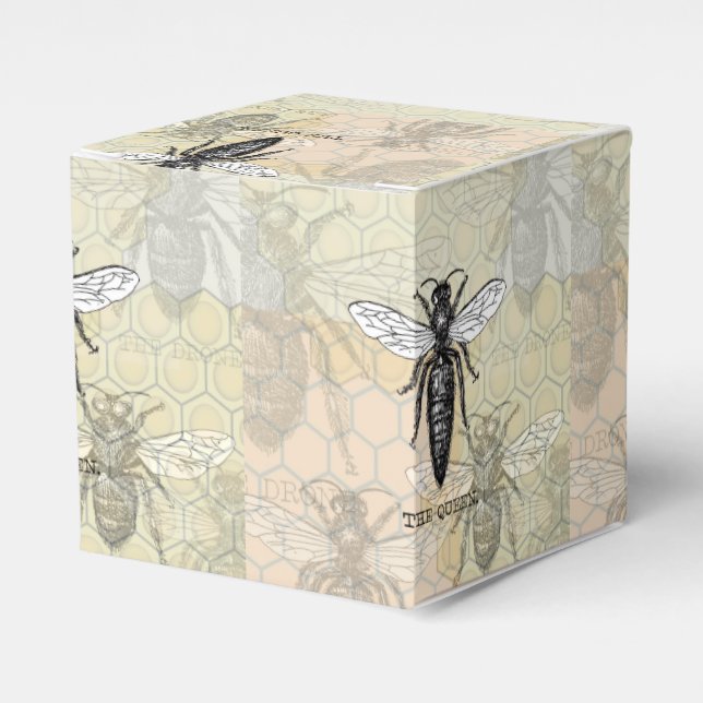Queen Bee Bug Insect Antike Illustration Geschenkschachtel (Vorderseite)
