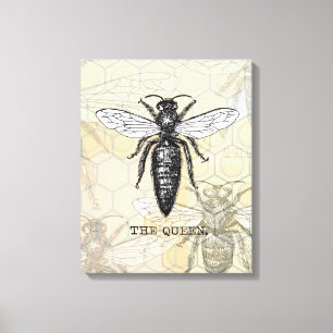 Queen Bee Bug Insect Antike Illustration Leinwanddruck