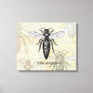 Queen Bee Bug Insect Antike Illustration Leinwanddruck