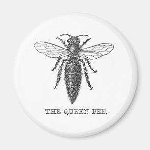 Queen Bee Bug Insect Antike Illustration Magnet