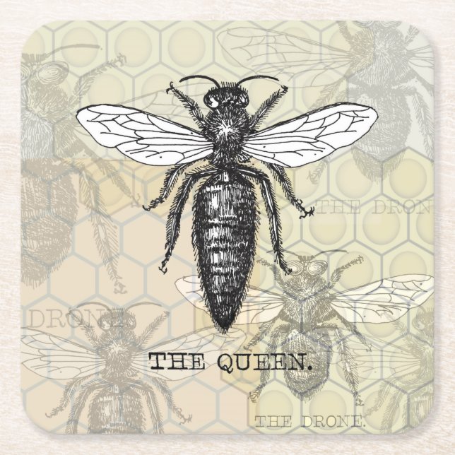 Queen Bee Bug Insect Antike Illustration Rechteckiger Pappuntersetzer (Vorderseite)