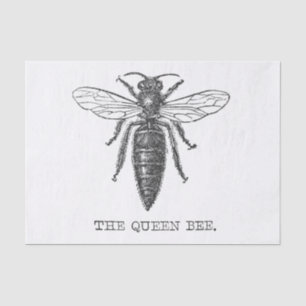 Queen Bee Bug Insect Antike Illustration Seidenpapier
