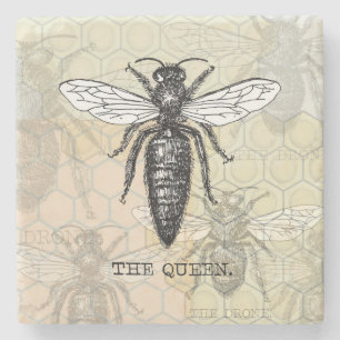 Queen Bee Bug Insect Antike Illustration Steinuntersetzer