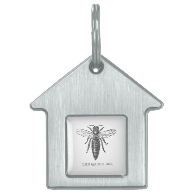 Queen Bee Bug Insect Antike Illustration Tiermarke (Vorderseite)
