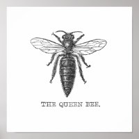Queen Bee Illustration Bug Insect
