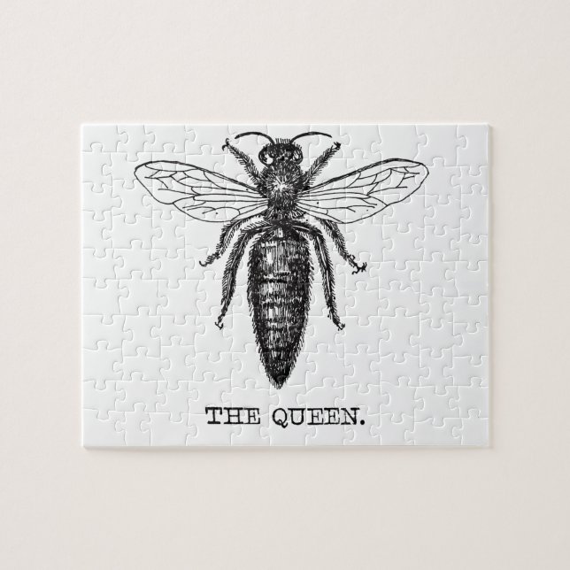 Queen Bee Illustration Classic Zeichnend (Horizontal)