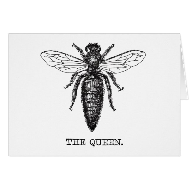 Queen Bee Illustration Classic Zeichnend (Vorderseite (Horizontal))