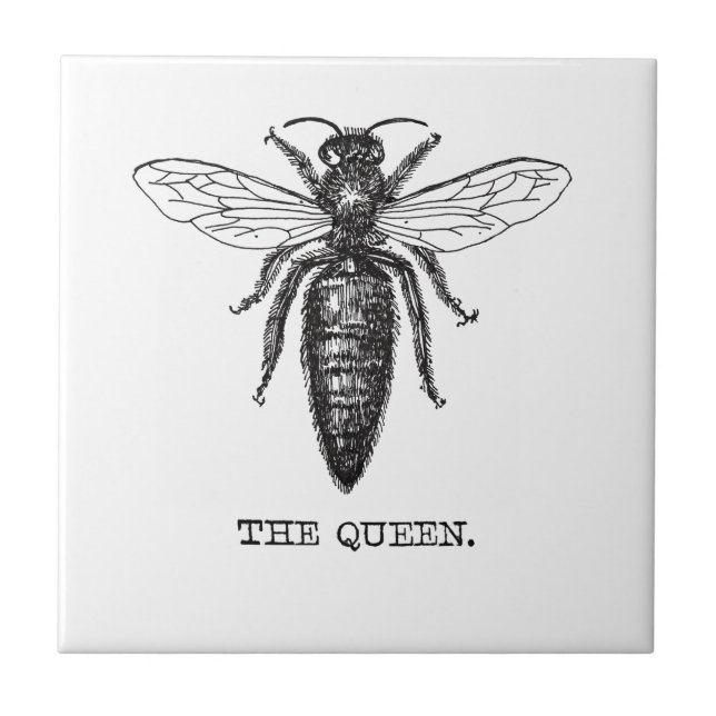 Queen Bee Illustration Classic Zeichnend Fliese (Vorderseite)