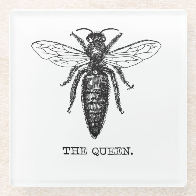 Queen Bee Illustration Classic Zeichnend Glasuntersetzer (Vorderseite)