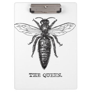 Queen Bee Illustration Classic Zeichnend Klemmbrett