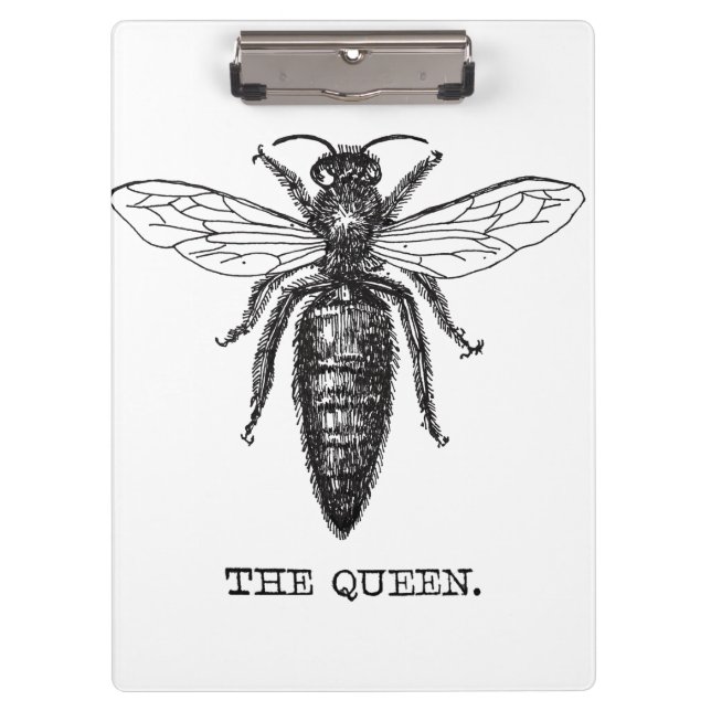 Queen Bee Illustration Classic Zeichnend Klemmbrett (Vorderseite)