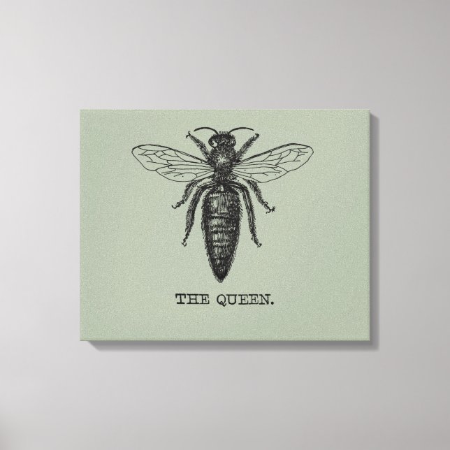 Queen Bee Illustration Classic Zeichnend Leinwanddruck (Vorderseite)