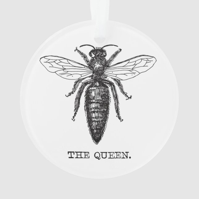 Queen Bee Illustration Classic Zeichnend Ornament (Rückseite)