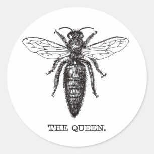 Queen Bee Illustration Classic Zeichnend Runder Aufkleber