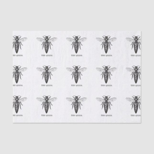 Queen Bee Illustration Classic Zeichnend Seidenpapier (Vorderseite)