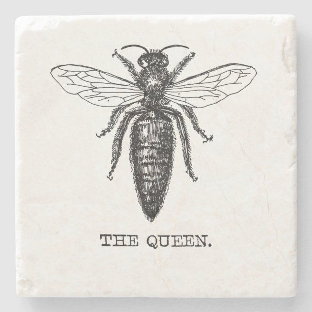 Queen Bee Illustration Classic Zeichnend Steinuntersetzer (Vorderseite)