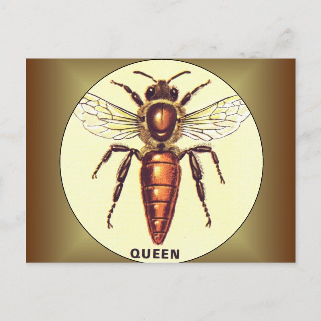 Queen Bee Postkarte (Vorderseite)
