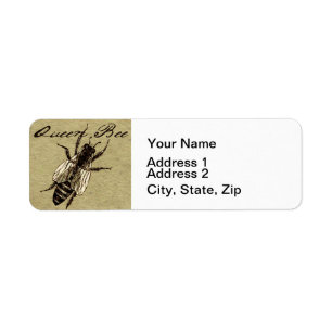 Queen Bee Wildlife Bug Insect