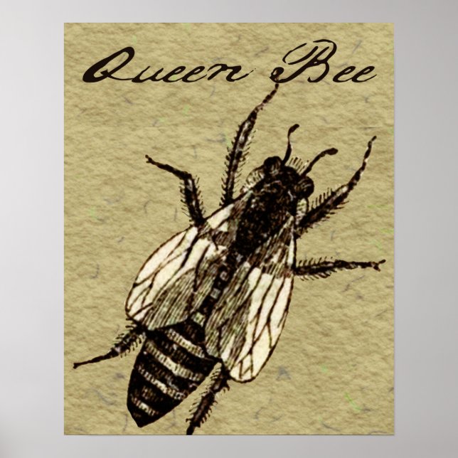 Queen Bee Wildlife Bug Insect Poster (Vorne)