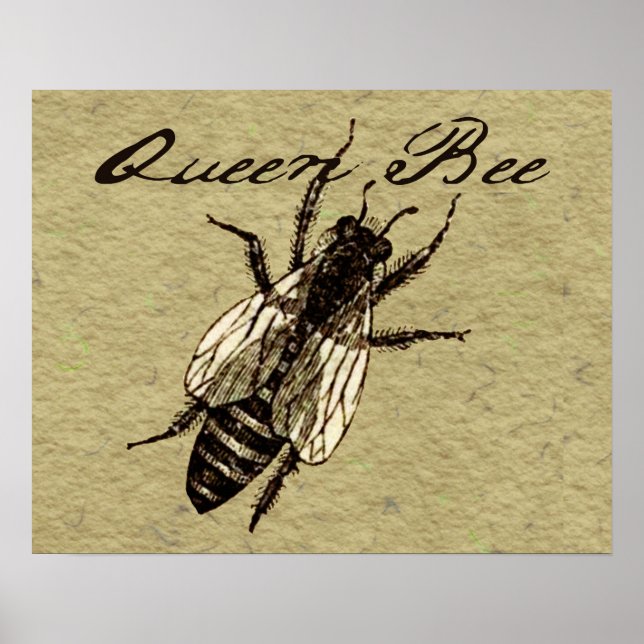 Queen Bee Wildlife Bug Insect Poster (Vorne)