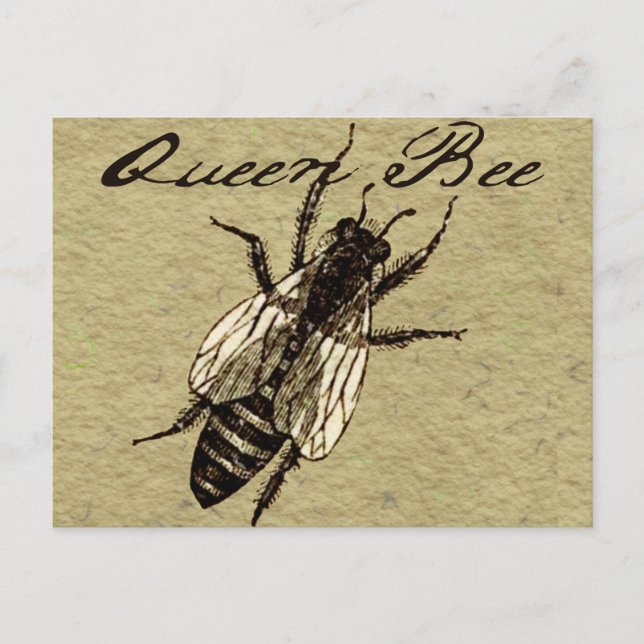 Queen Bee Wildlife Bug Insect Postkarte (Vorderseite)