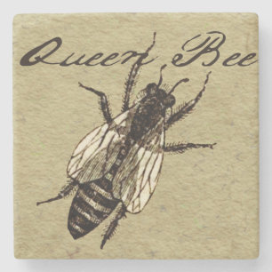 Queen Bee Wildlife Bug Insect Steinuntersetzer