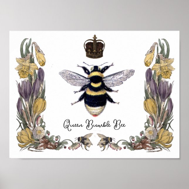 Queen Bumble Bee in Blume Frame Poster (Vorne)