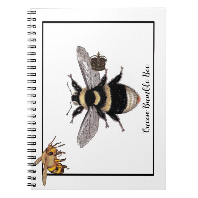 Queen Bumble Bee Notizblock (Vorderseite)