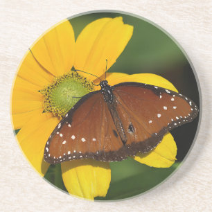 Queen Butterfly auf gelber Blume Getränkeuntersetzer