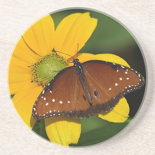 Queen Butterfly auf gelber Blume Getränkeuntersetzer (Vorne)