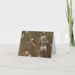 Queen Butterfly und Milkweed Danke
