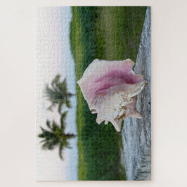 Queen Conch Muschel auf einer Mauer, das Bahamas P