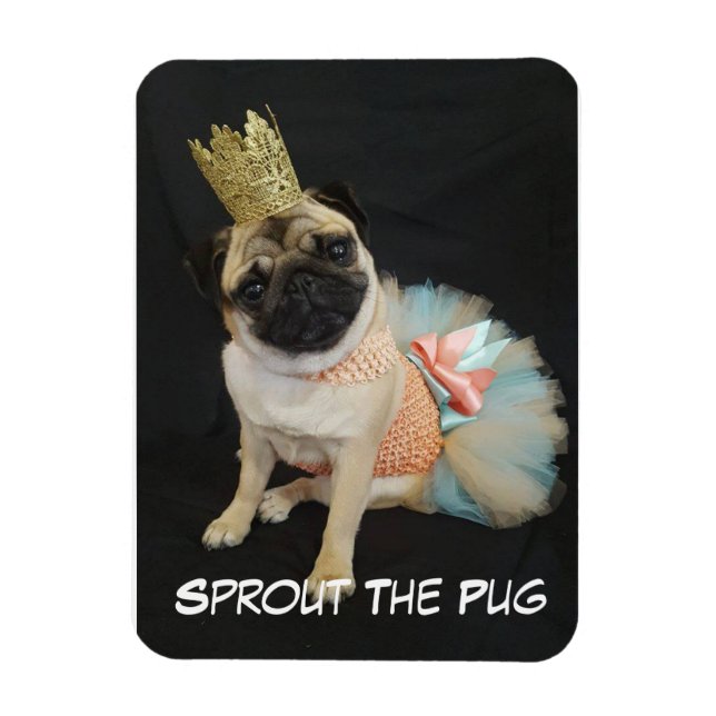 Queen Foto Magnet (Vertikal)