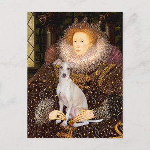 Queen - Italian Greyhound 7 Postkarte