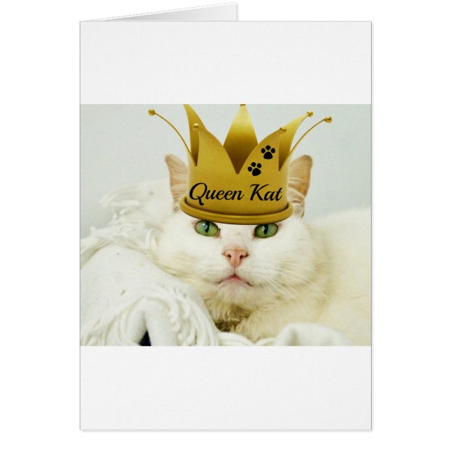 Queen Kat (Vorne)
