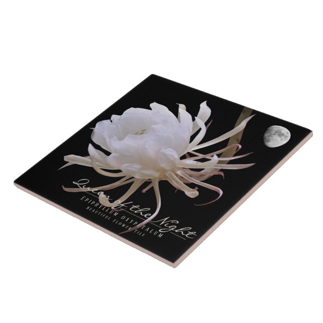 Queen of the Night タイル Fliese (Seite)