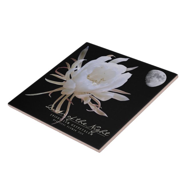 Queen of the Night タイル Fliese (Seite)