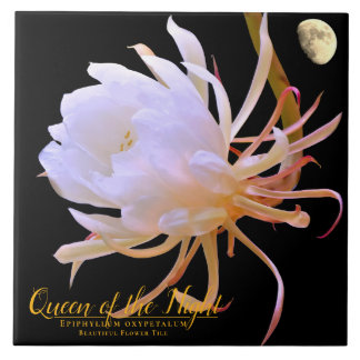 Queen of the Night タイル Fliese