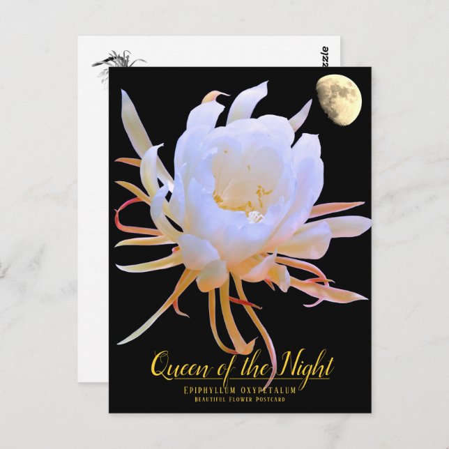 Queen of the Night Postkarte (Vorne/Hinten)