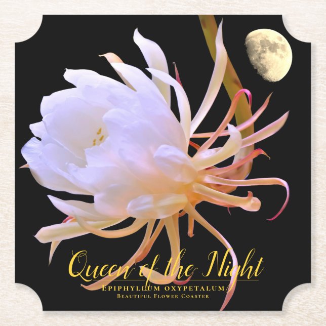 Queen of the Night Untersetzer (Vorderseite)