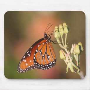 Queen-Schmetterling auf einem Ast Mousepad