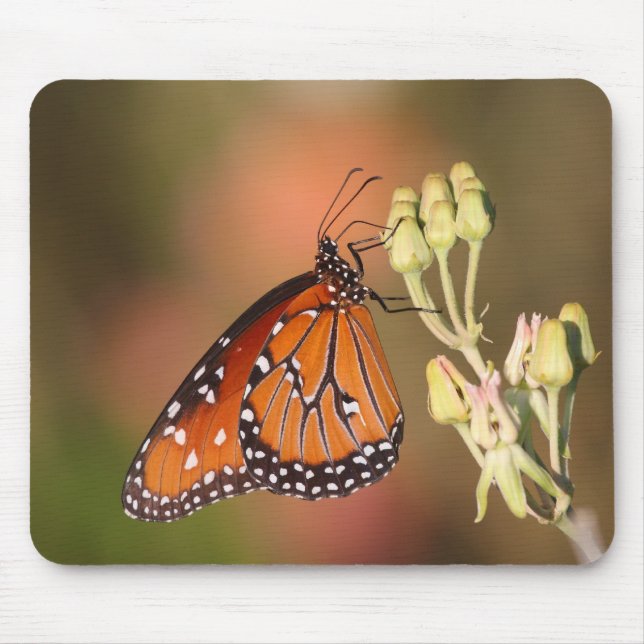 Queen-Schmetterling auf einem Ast Mousepad (Vorne)