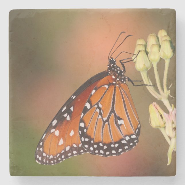 Queen-Schmetterling auf einem Ast Steinuntersetzer (Vorderseite)