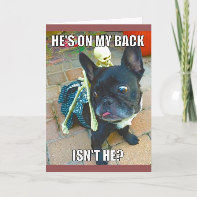 QueenFiFi Halloween Karte (Vorderseite)