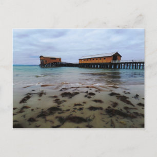 Queenscliff Dream Postcard Postkarte