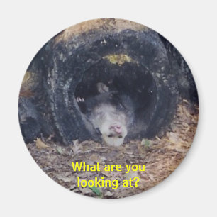 Quel jour ! - aimant