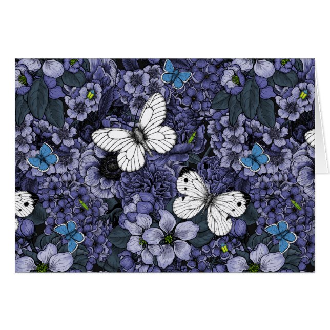 Quelle (Vorderseite (Horizontal))